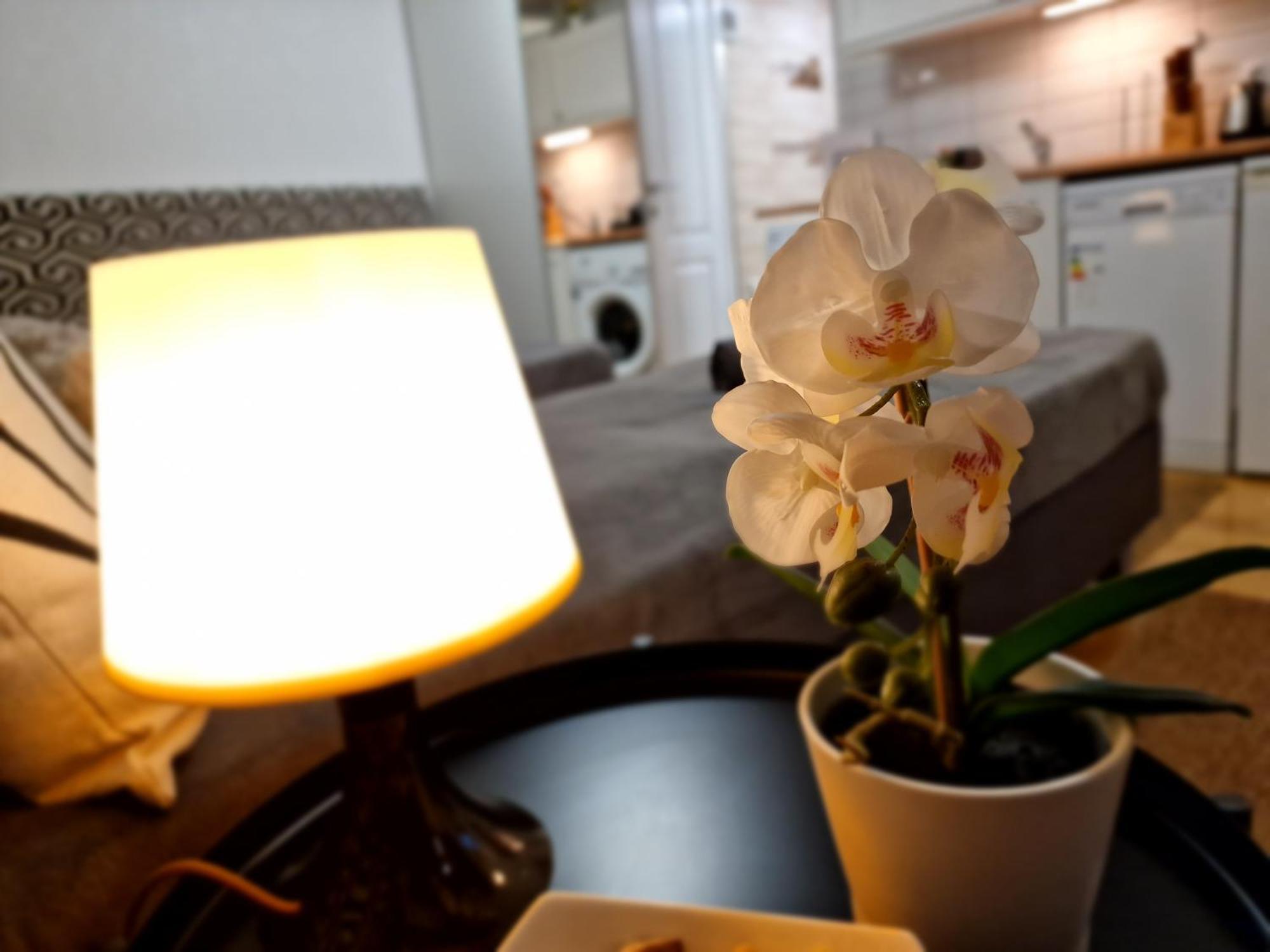 Bercsenyi Apartments - Close To The Gellert Thermal Bath Будапеща Стая снимка